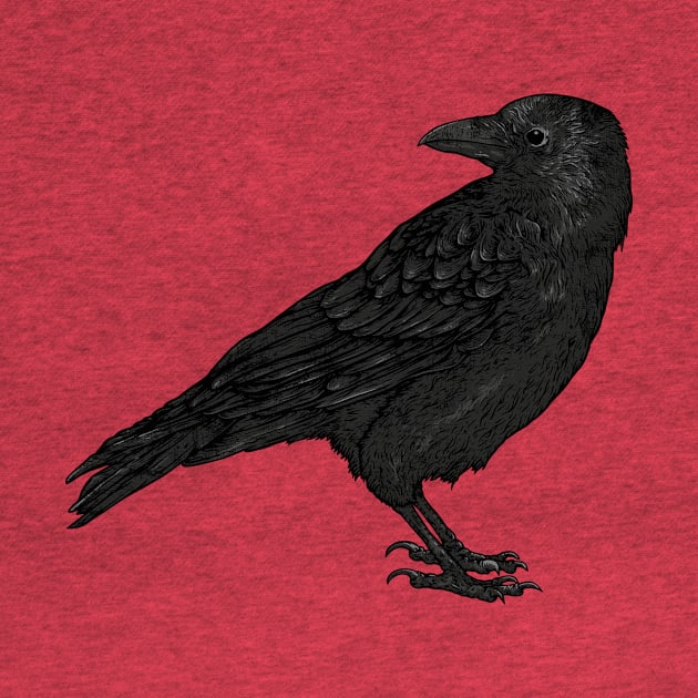 black bird by mahashop